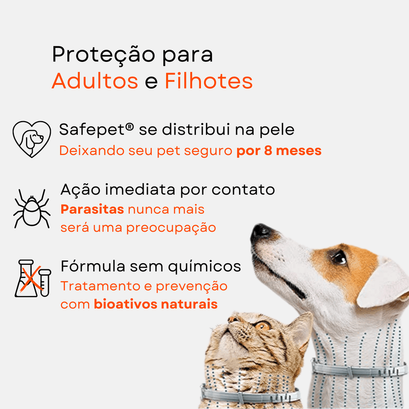 Colar Anti Pulgas e Carrapatos - Magia de Ofertas