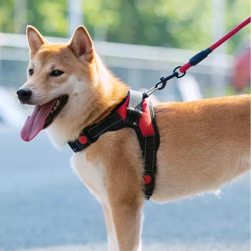 Arnês ajustável com trela para cão pequeno e grande, colete reflexivo, pet fornecimentos, respirável - Magia de Ofertas