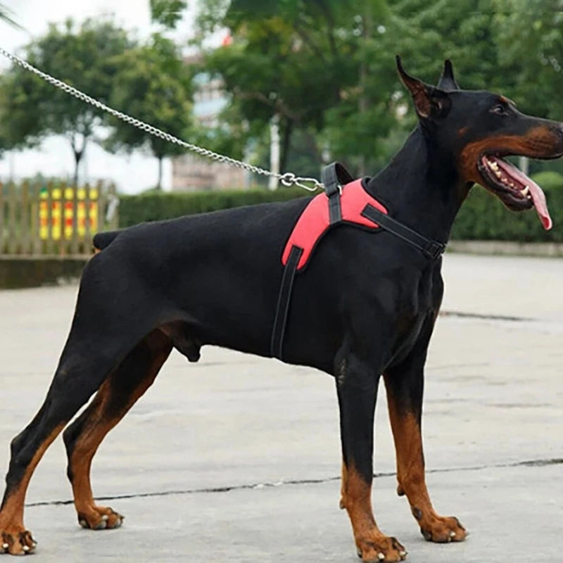 Arnês ajustável com trela para cão pequeno e grande, colete reflexivo, pet fornecimentos, respirável - Magia de Ofertas