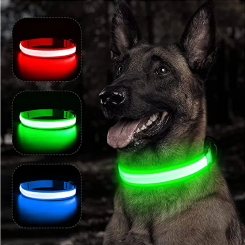 Led brilhante coleira de cachorro ajustável piscando rechargea coleira luminosa noite anti-perdido luz do cão HarnessFor pequenos produtos para animais de estimação do cão - Magia de Ofertas