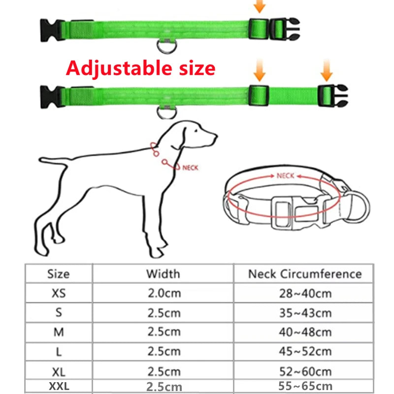 Led brilhante coleira de cachorro ajustável piscando rechargea coleira luminosa noite anti-perdido luz do cão HarnessFor pequenos produtos para animais de estimação do cão - Magia de Ofertas