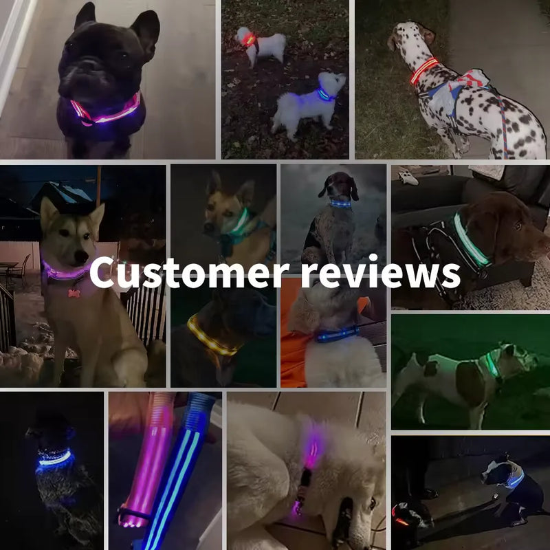 Led brilhante coleira de cachorro ajustável piscando rechargea coleira luminosa noite anti-perdido luz do cão HarnessFor pequenos produtos para animais de estimação do cão - Magia de Ofertas