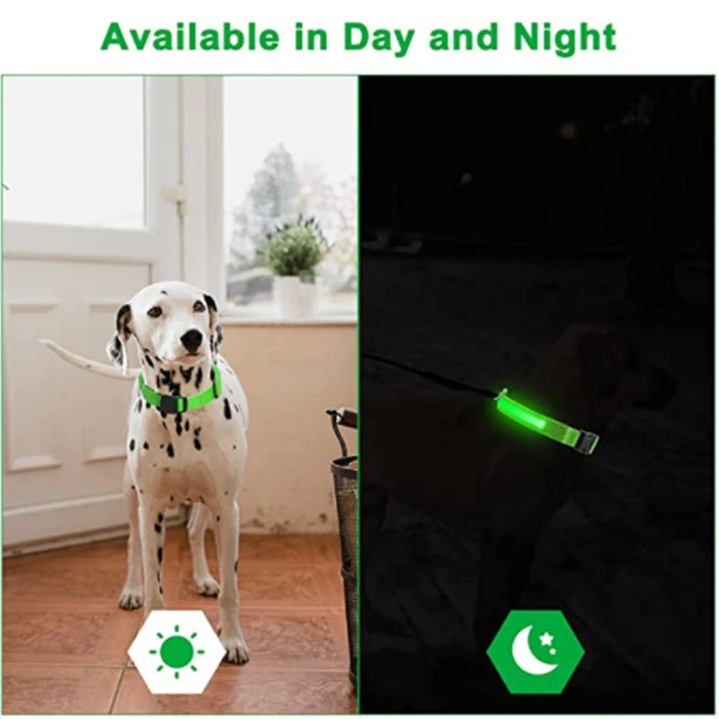 Led brilhante coleira de cachorro ajustável piscando rechargea coleira luminosa noite anti-perdido luz do cão HarnessFor pequenos produtos para animais de estimação do cão - Magia de Ofertas