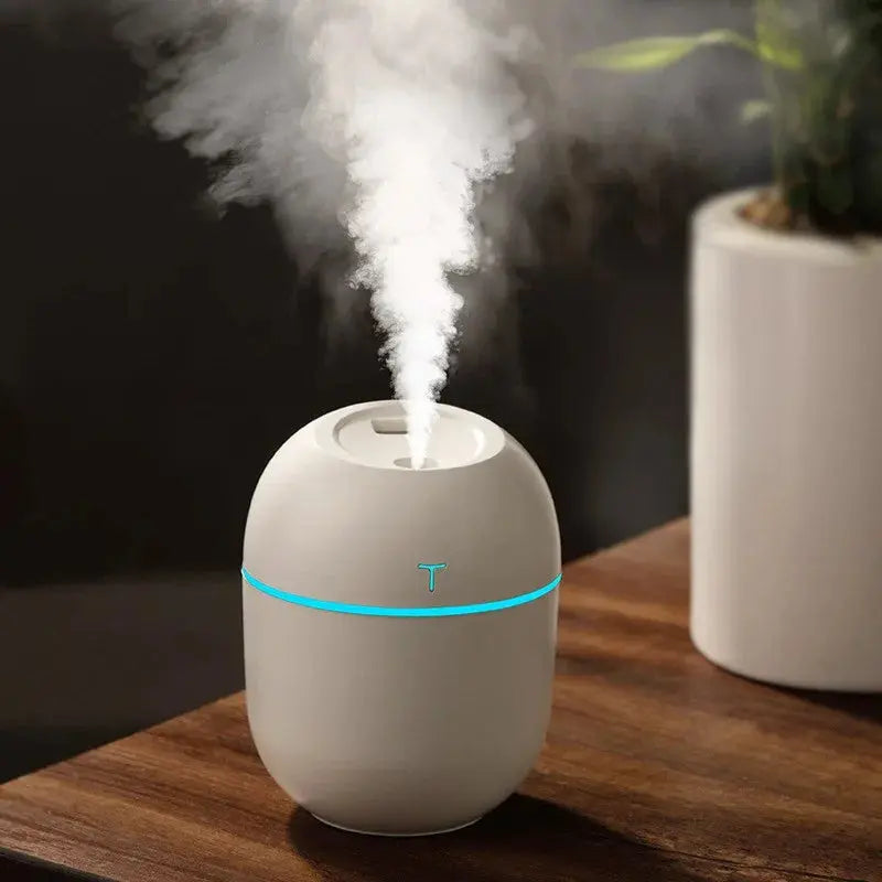 Mini Portable Egg Aromatizer Humidifier Usb Led Magia de Ofertas